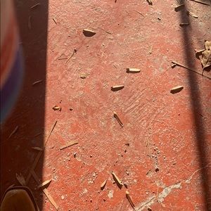 Meet your Posher, Jodi